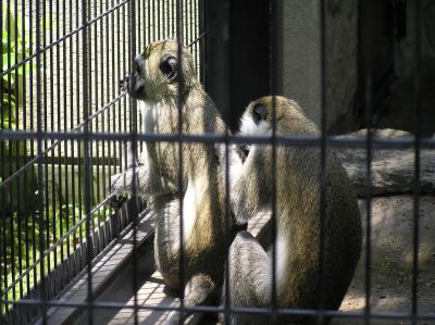 P5200029~1.jpg