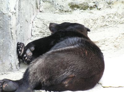 P5200054~1.jpg